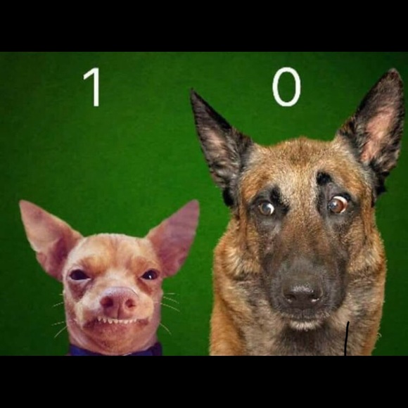 Meet your Posher, Alejandro - Picture 1 of 1